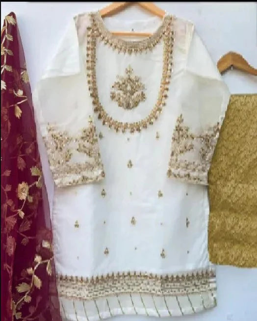 Elegant Organza Hand-Embroidered 3-Piece Stitched Suit